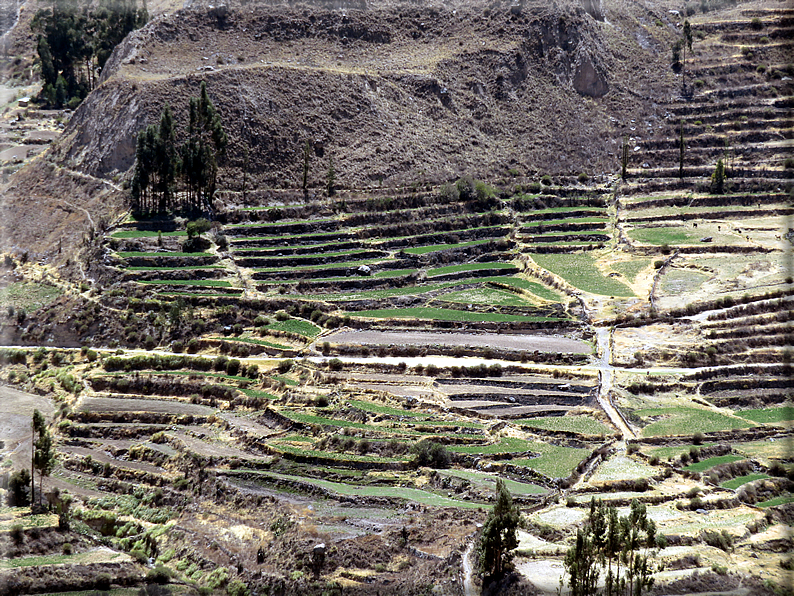 foto Canyon del Colca